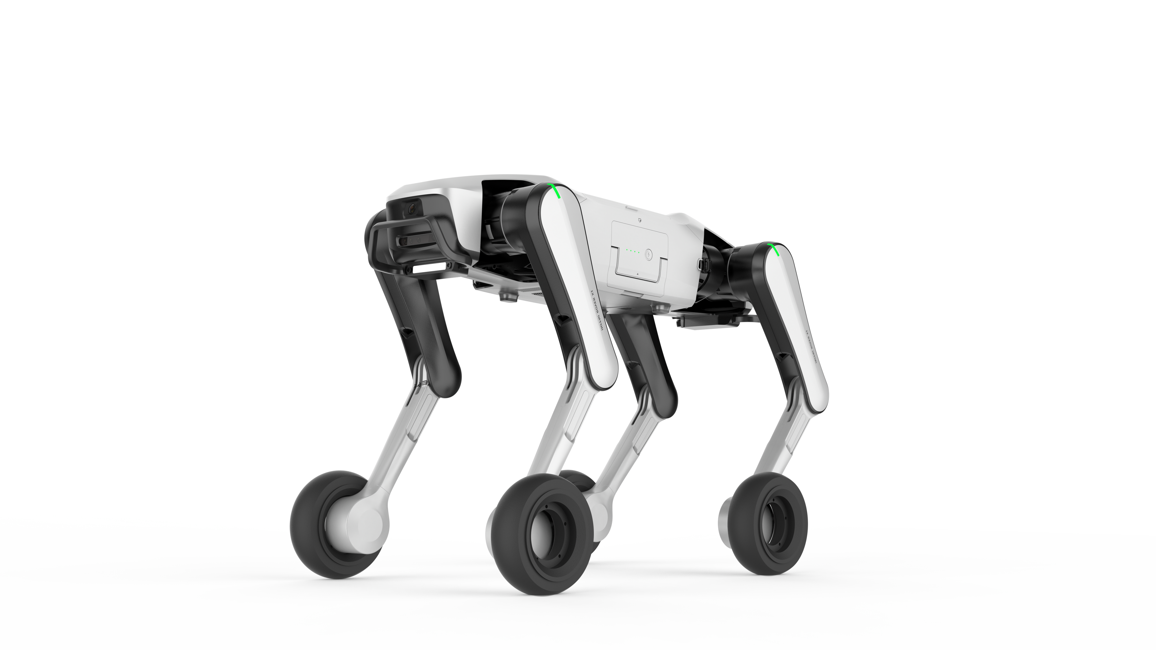 Quadrupeds