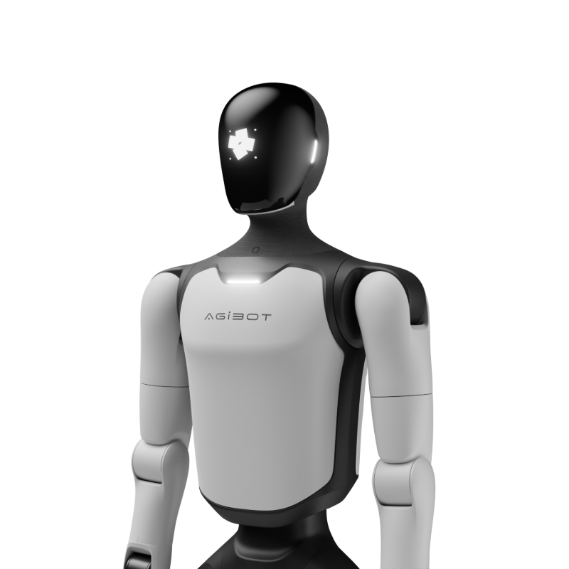 Humanoids