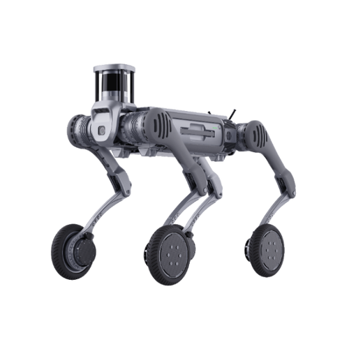 B2-W
